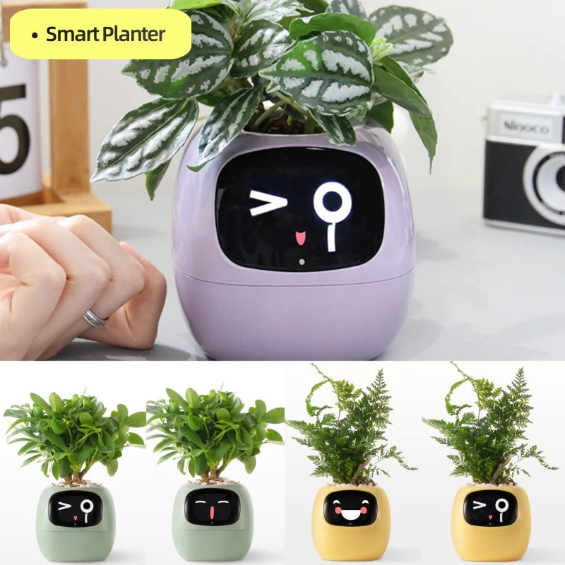 Smart Planter Endless Fun Over 49 Rich Expressions 7 Smart Sensors And AI Chips Make Raising Plants Easy And Fun - Samuyostore 