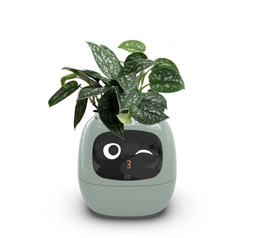 Smart Planter Endless Fun Over 49 Rich Expressions 7 Smart Sensors And AI Chips Make Raising Plants Easy And Fun - Samuyostore 